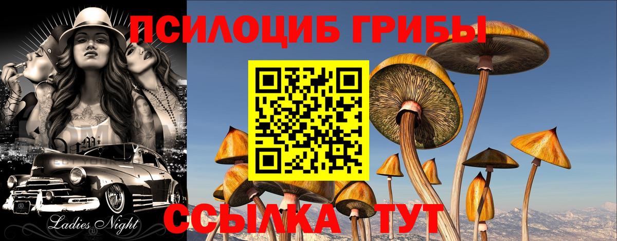 Галлюциногенные грибы Cubensis  Галлюциногенные грибы прущие грибы  Избербаш  Вход с VPN 